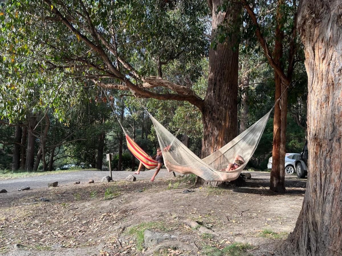 Base Camp Tasmania Ξενοδοχείο New Norfolk Εξωτερικό φωτογραφία