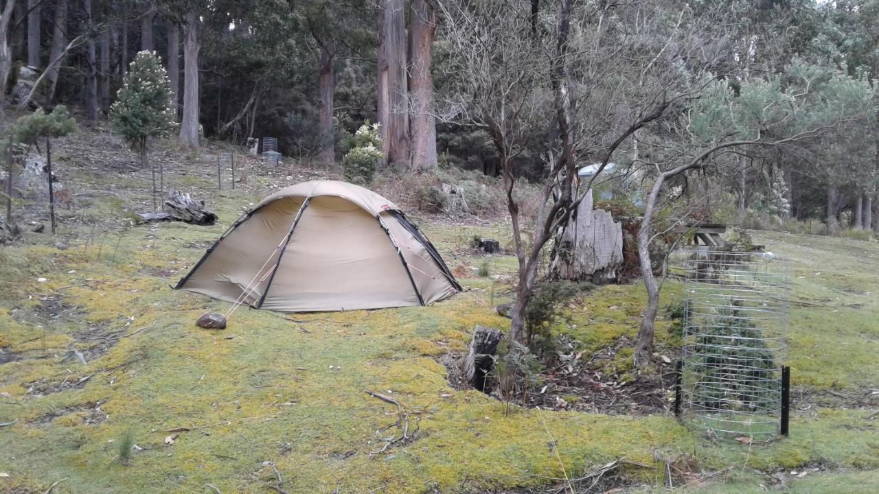 Base Camp Tasmania Ξενοδοχείο New Norfolk Εξωτερικό φωτογραφία